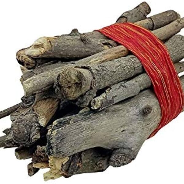 आम की सूखी लकड़ी/Dry mango wood