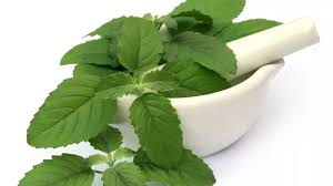 तुलसी के पत्ते/Basil leaves (10gm)